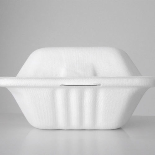 compressed_clam-shell-style-takeaway-food-packaging_t20_093GAo